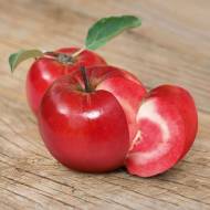 Саженец Яблоня Джеромини в контейнере